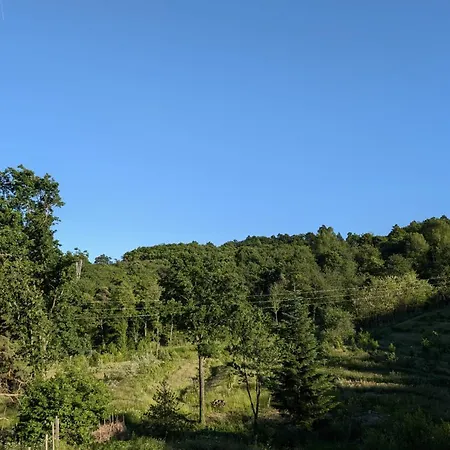 Nel Bosco Cairo Montenotte