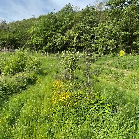 Nel Bosco Cairo Montenotte