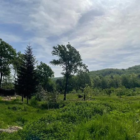 Nel Bosco Appartamento *