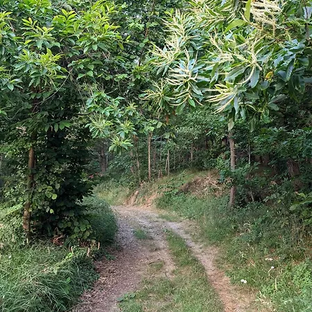 Nel Bosco Appartement