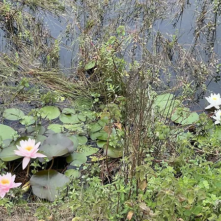 Nel Bosco Appartamento Cairo Montenotte