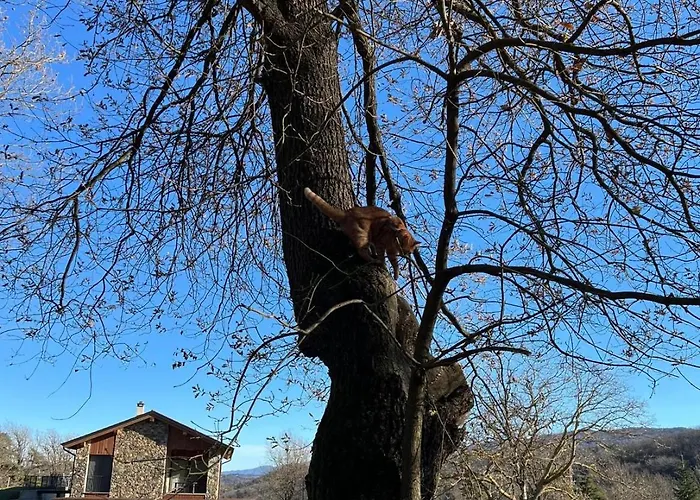 Nel Bosco * Cairo Montenotte