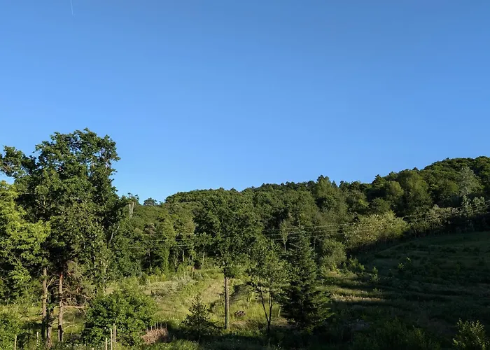 Nel Bosco Cairo Montenotte