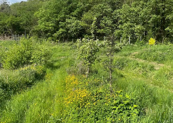 Nel Bosco Cairo Montenotte