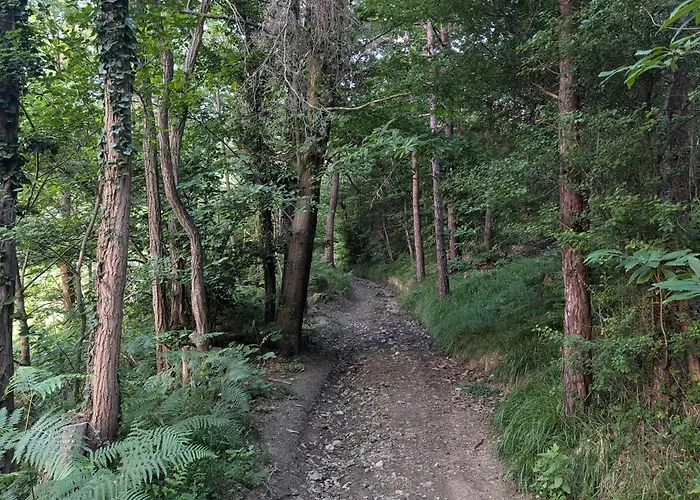 Nel Bosco Appartement Cairo Montenotte