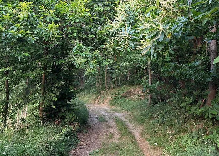 Nel Bosco Appartement