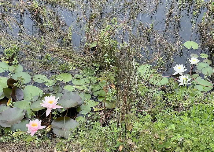 Nel Bosco Appartement Cairo Montenotte